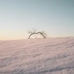 Osada Molusiowka - Z Balia Koszarawa