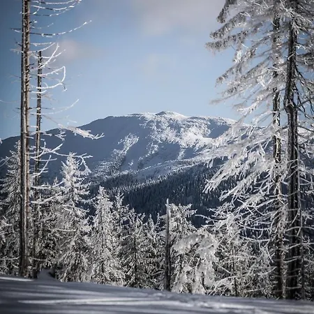 Alpehytte Osada Molusiowka - Z Balia Koszarawa