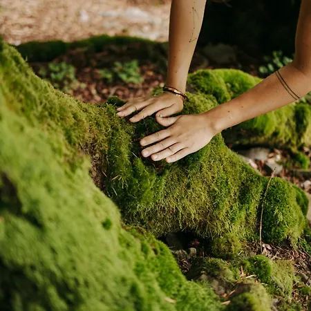 Osada Molusiowka - Z Balia Koszarawa