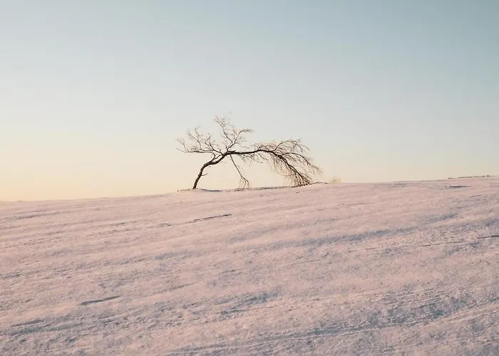 Osada Molusiowka - Z Balia Koszarawa