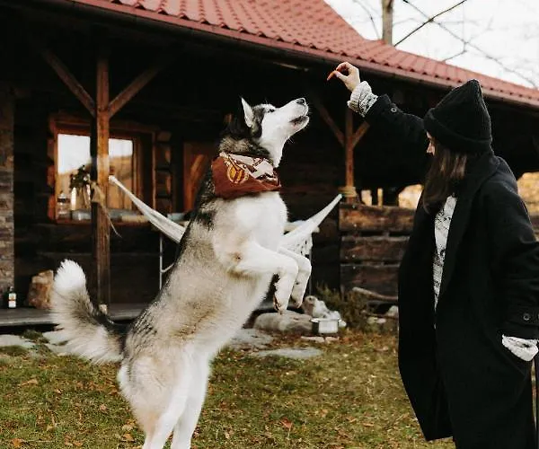 Osada Molusiowka - Z Balia Chalet Koszarawa