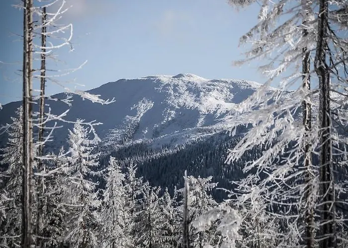 Chalet Osada Molusiowka - Z Balia Koszarawa