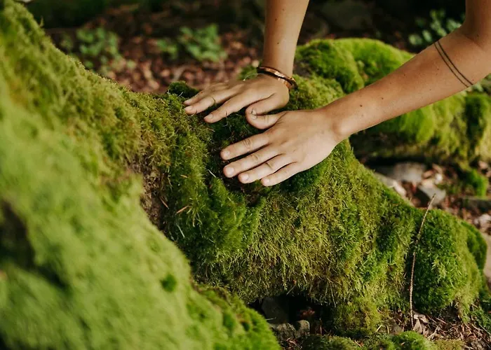 Osada Molusiowka - Z Balia Koszarawa