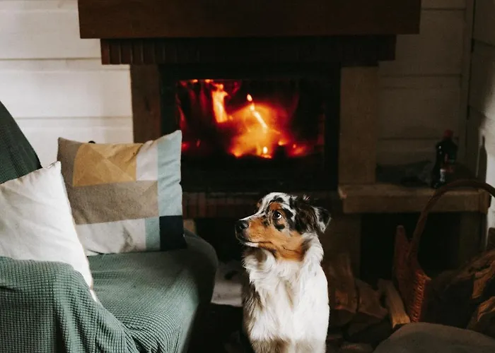 Osada Molusiowka - Z Balia Chalet *