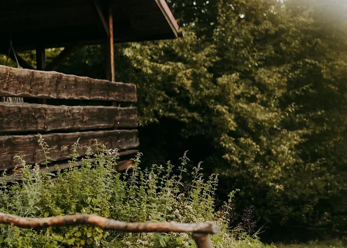 Osada Molusiowka - Z Balia Koszarawa