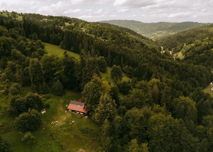 Osada Molusiowka - Z Balia Chalet